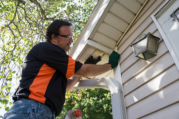 Best Siding Maintenance  in California, MD